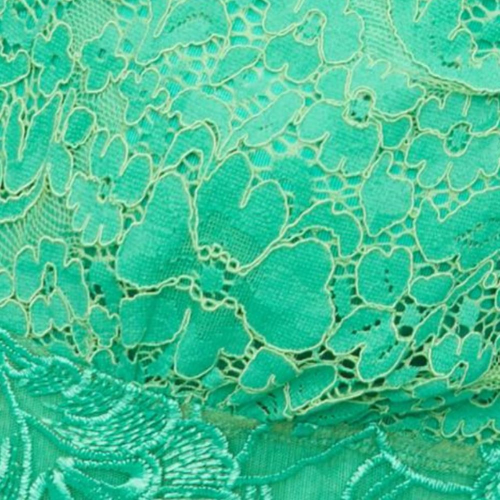 Plenty by Tracey Reese for Anthropologie Angelica Lace Midi dress - Picture 4 of 12